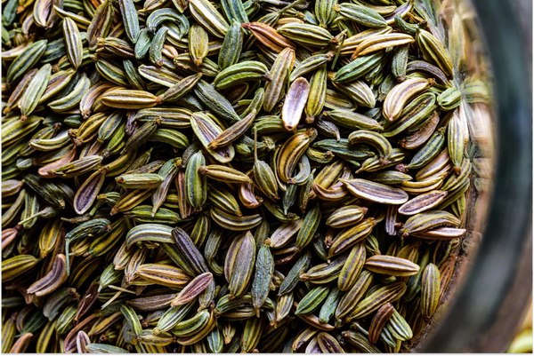 What Benefits Does Fennel Seed Have for a Woman’s Body?